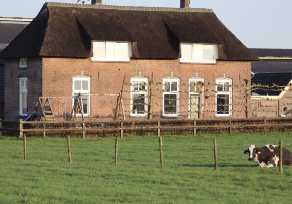 Steenderen Toldijkseweg 26 en 26a Boerderij