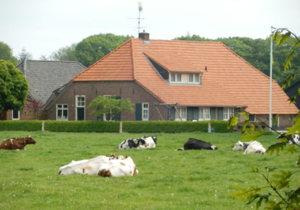 Vorden Rommelerdijk 1 Boerderij Vaalstal Bijschuur Pomp