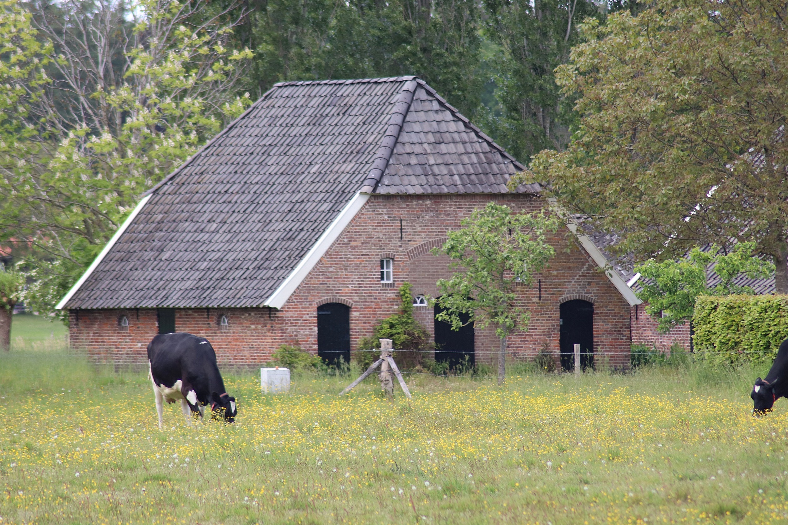 Vorden Weidemanweg 4 Boerderij Bijschuur Hooiberg