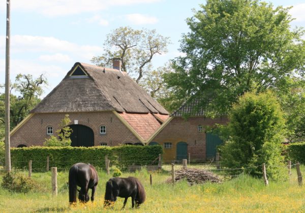 Vorden Strodijk 17 Boerderij Bijschuur