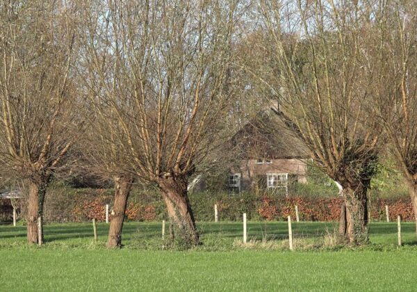 Vorden Kruisdijk 3 Boerderij Bijschuur Pomp