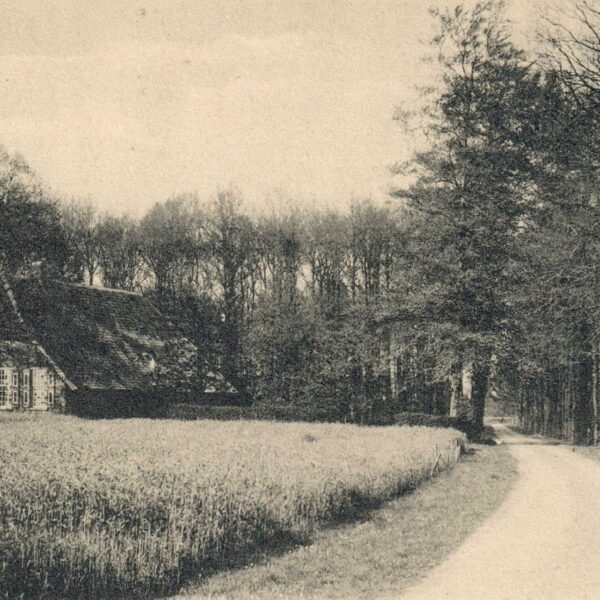 Hummelo Van Heeckerenweg Boerderij Siebelink